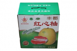 身邊常常出現塑料袋承重不行問題，你有真正了解過嗎